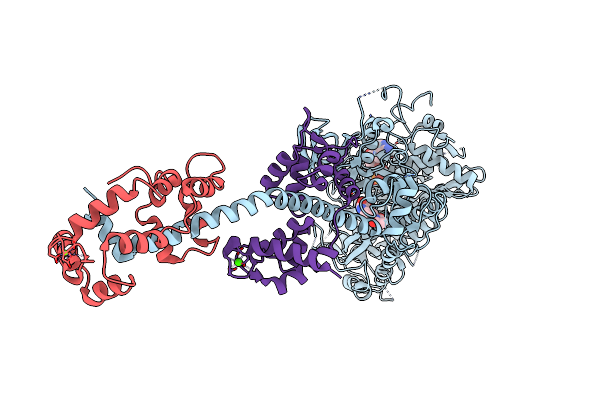 1L2O image
