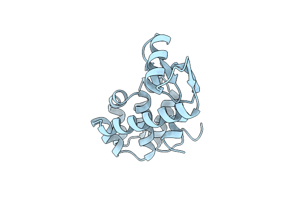1L33 image