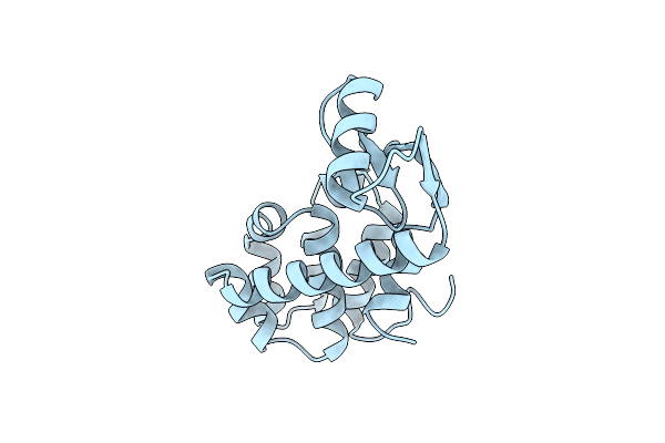 1L37 image