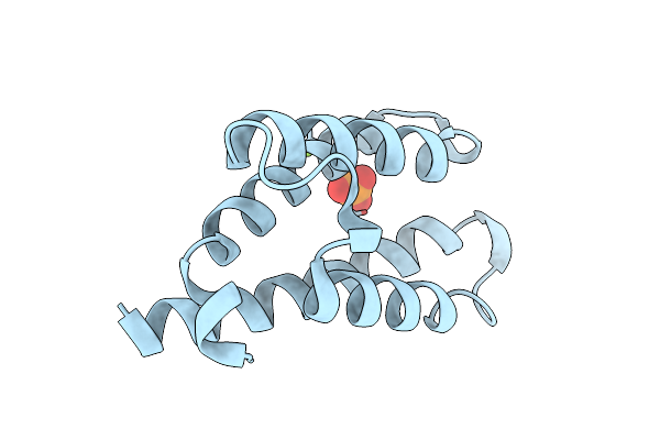 1L3P image
