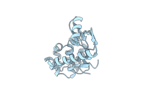 1L41 image