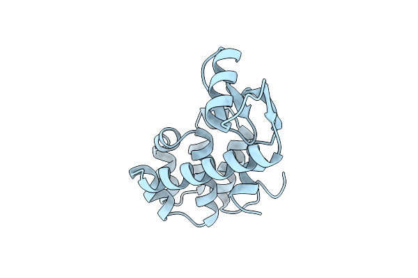1L51 image