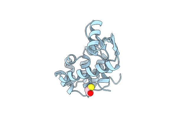 1L53 image