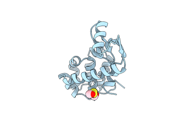 1L55 image
