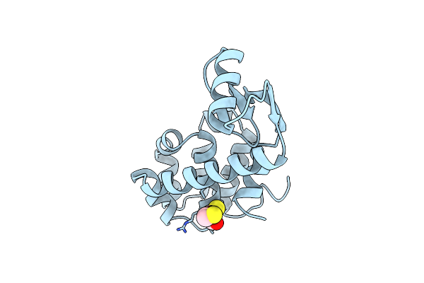 1L56 image