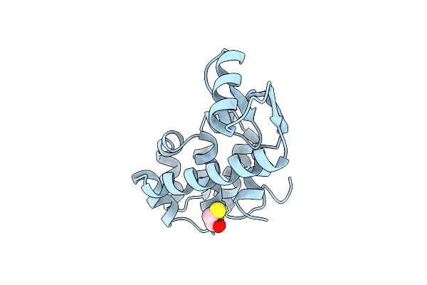 1L58 image