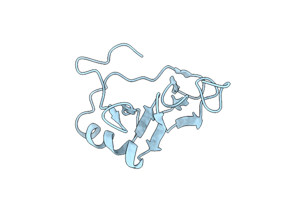 1L5D image