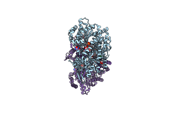 1L5S image