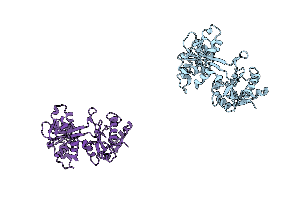 1L5T image