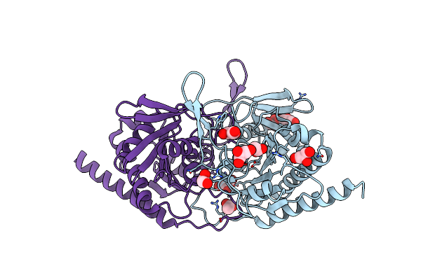 1L5X image