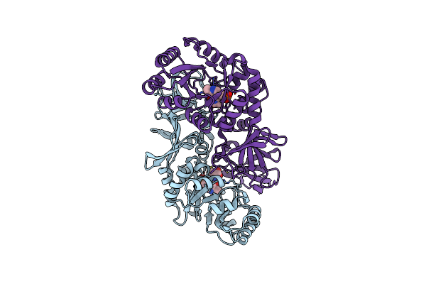 1L6G image