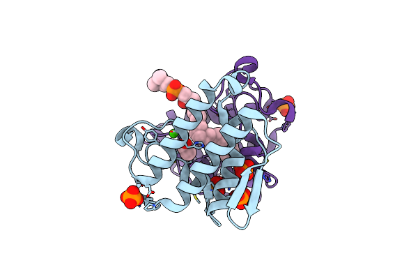 1L8S image