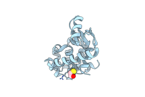 1L98 image