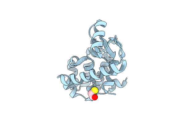 1L99 image