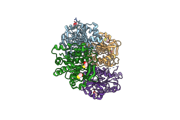 1L9X image