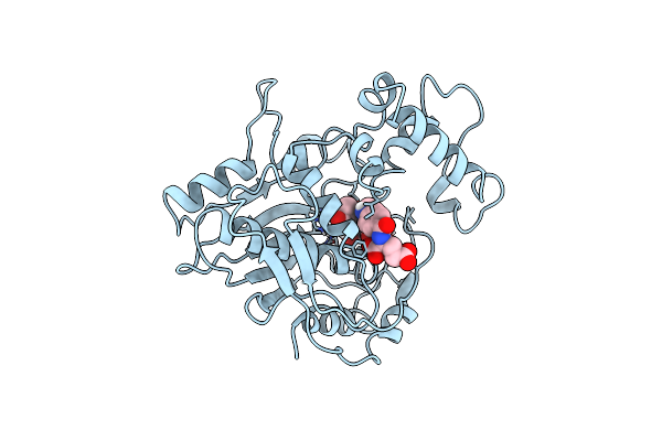 1LCB image