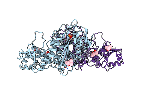 1LCP image