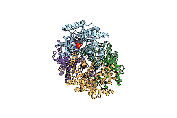 1LDB image