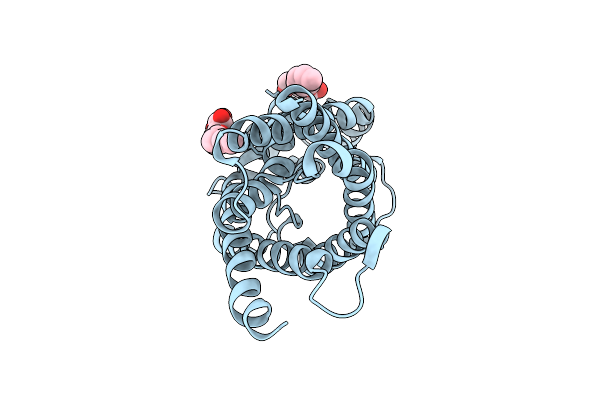 1LDI image