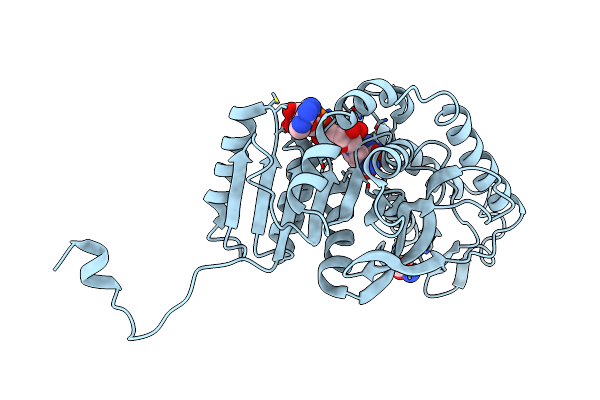 1LDM image