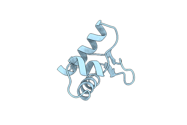 1LEA image