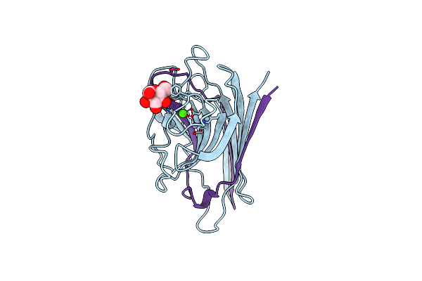 1LEM image