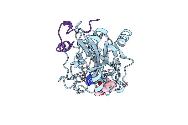 1LHC image