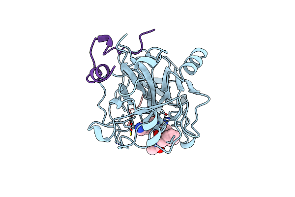1LHF image