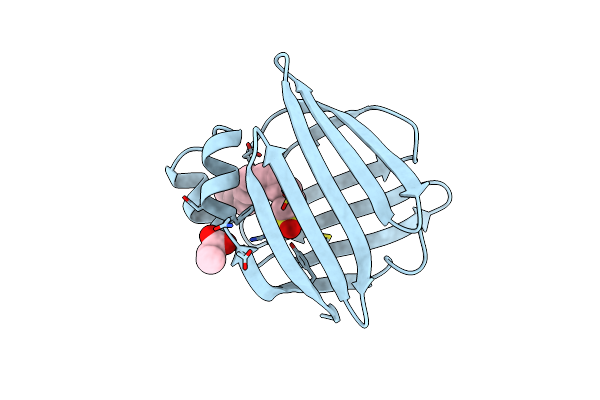1LIC image