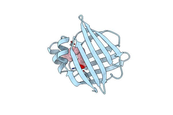 1LID image