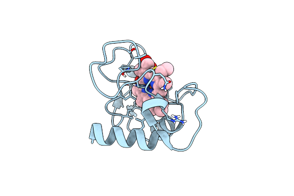 1LMS image