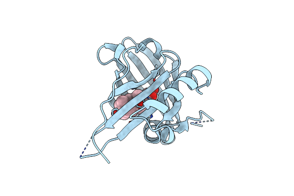 1LNM image