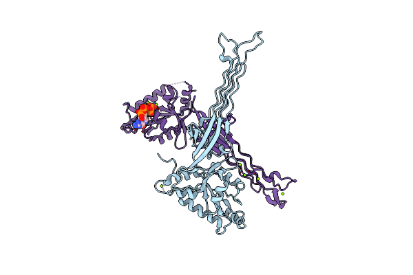 1LNZ image