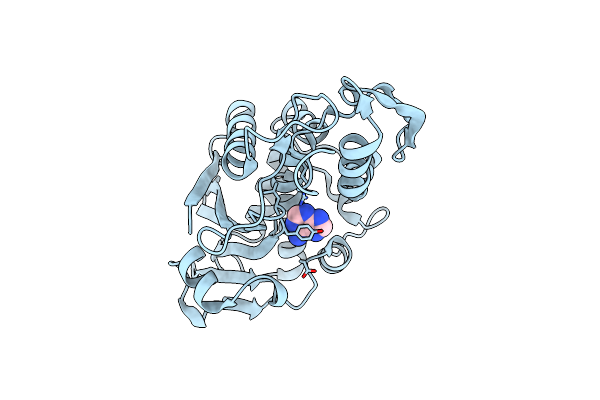 1LPD image