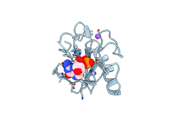 1LRA image