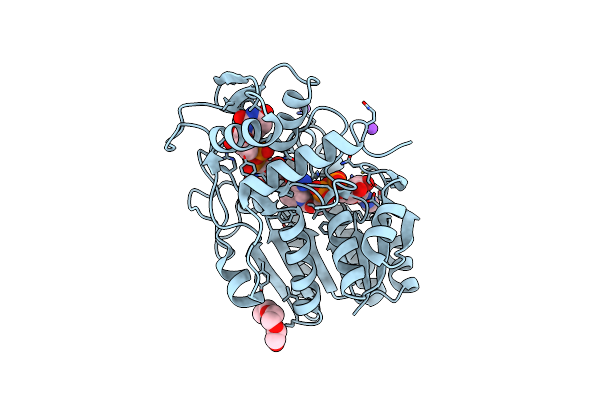 1LRL image