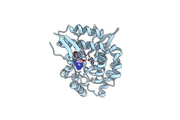 1LRM image