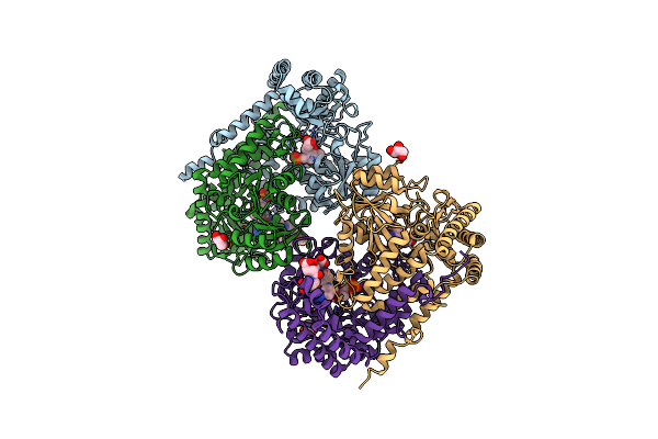 1LS3 image