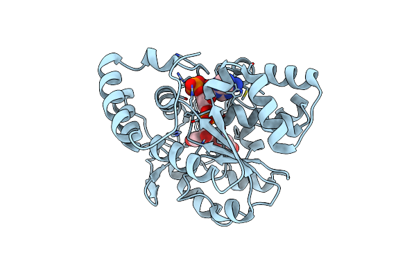 1LS6 image
