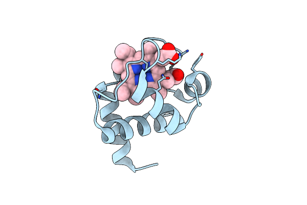 1LS9 image