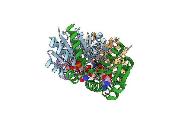 1LSS image