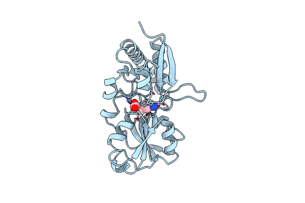 1LST image