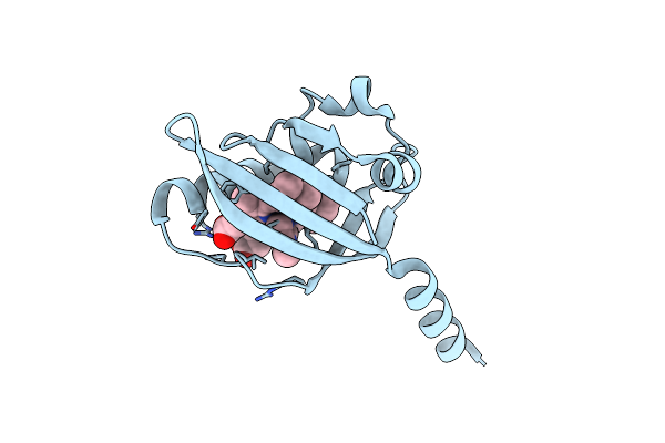 1LSX image