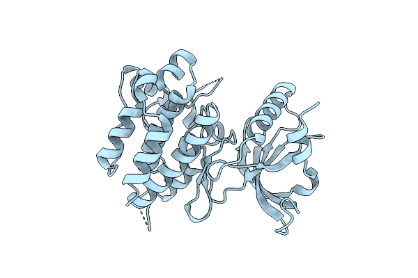 1LUF image