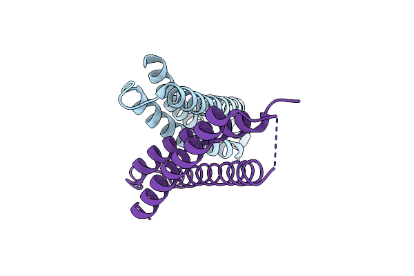 1LVF image