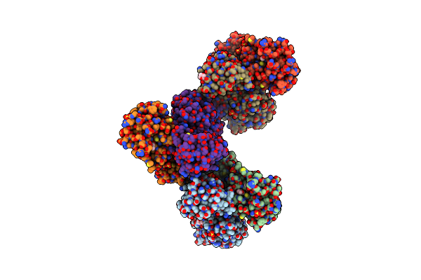 1LVO image