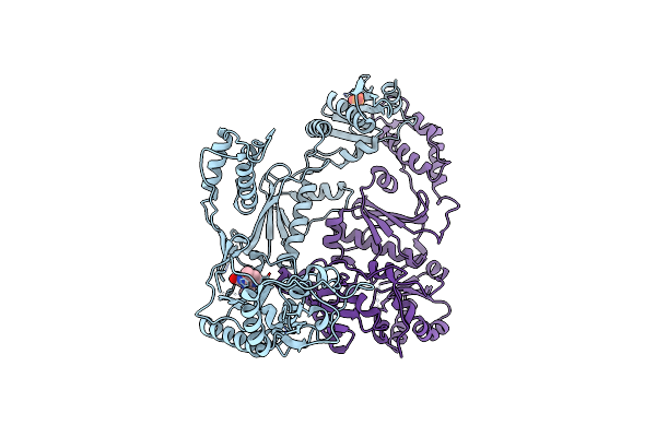 1LWE image