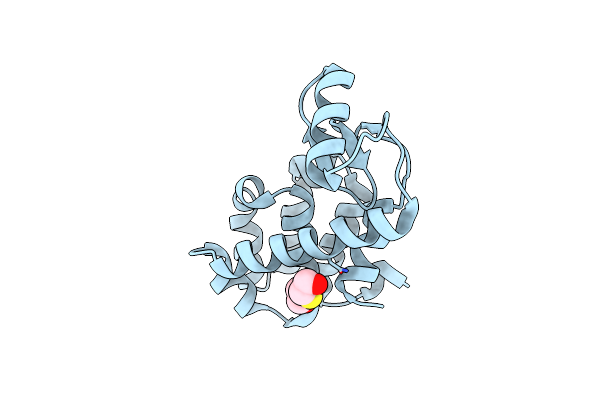 1LWK image