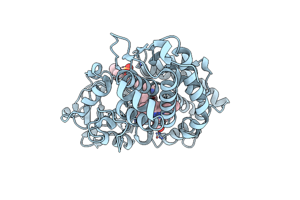 1LWL image