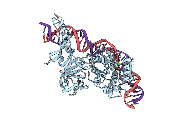 1LWS image